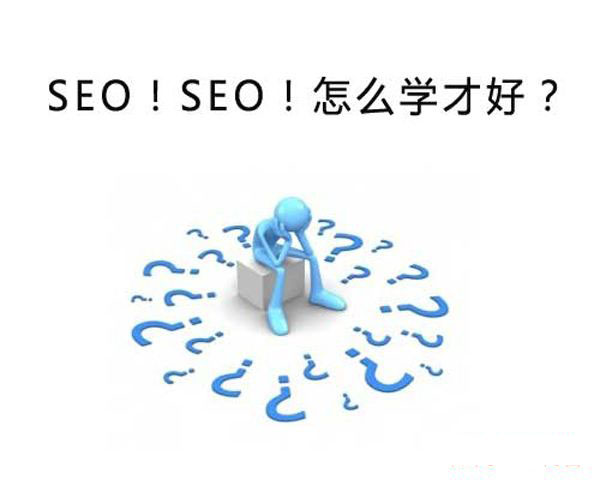 ѧSEO?ѧSEOûô ڶ