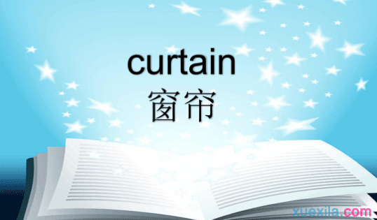 curtainʲô˼