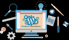 WordPress SEOָ